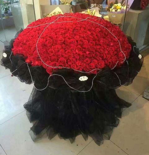 真爱永久/999朵红玫瑰
