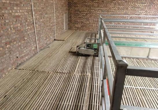 (羊棚内所铺竹板)