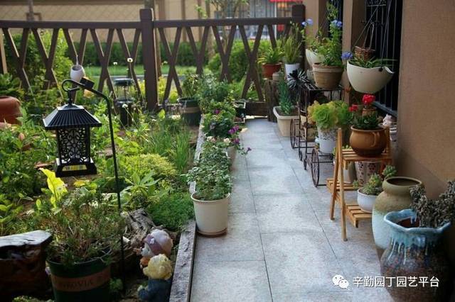 园丁奖花园组《047号》娟子的花园