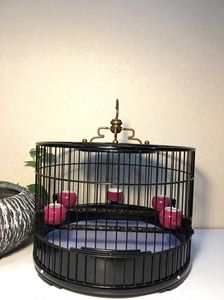 宠物及园艺 小宠及用品 鸟笼 天然大漆鸟笼