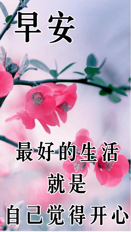 最新版非常漂亮的早上好表情图片温馨早安心语语录