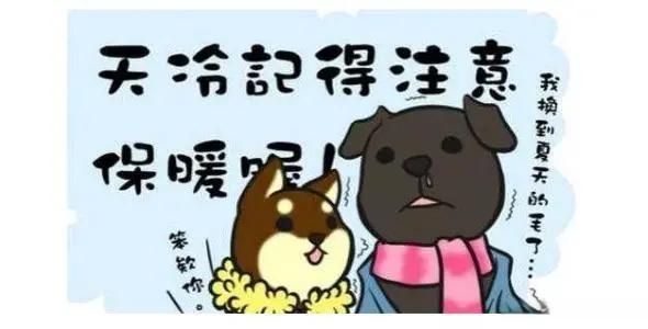 早晨问安天冷问候依旧暖人心间寒潮来袭注意保暖早安