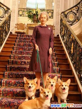 因为伊丽莎白二世的宠物而出现在伦敦奥运会开幕式是什么狗