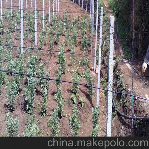 5mm 2.8mm黑色 蔬菜大棚压膜 猕猴桃搭架 包塑丝