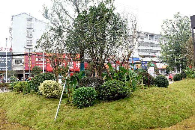 迎国庆!胜利园林这波操作绝了,潢川城区开启美颜"绿"镜!