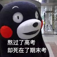 考试发的朋友圈加配图 考试复习搞笑说说配图_微信头像图片大全