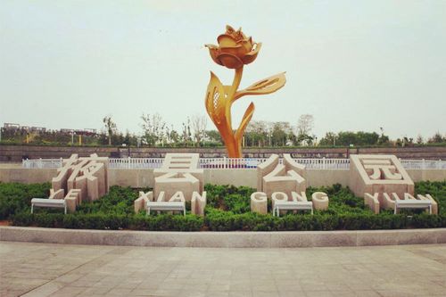 高耸"月季花"雕像的掖县公园是莱州的标志性建筑,莱州栽培月季至今
