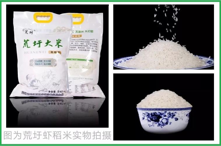 稻在水中长虾在田里嬉沈巷荒圩虾稻米成功量产并通过检测