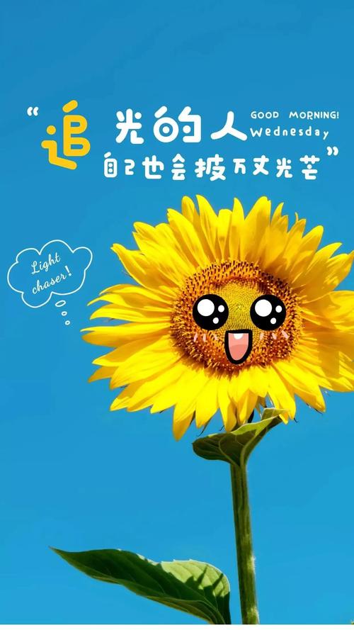 向日葵的诗句优美句子向日葵简短唯美句子