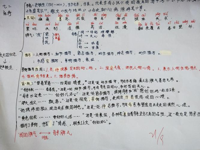 《秋天的怀念》思维导图