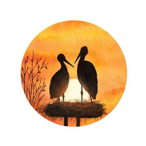 双影——陪你到天荒地老