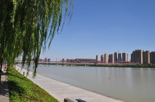 咸阳渭滨公园2020.9.