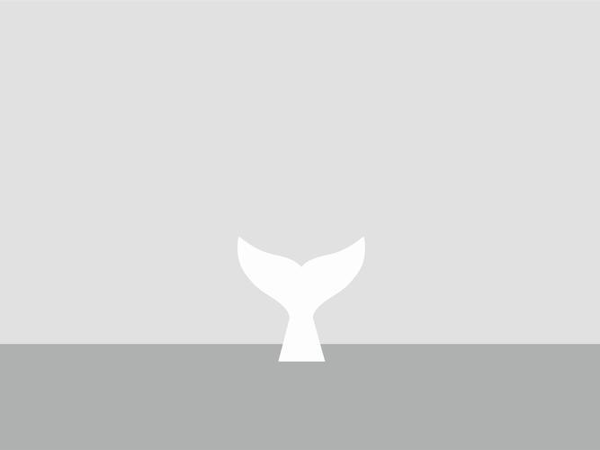 鲸鱼,尾巴,极简,大爱极简风,炫简鲸鱼壁纸图片