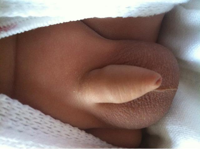 晒晒儿子小鸡鸡