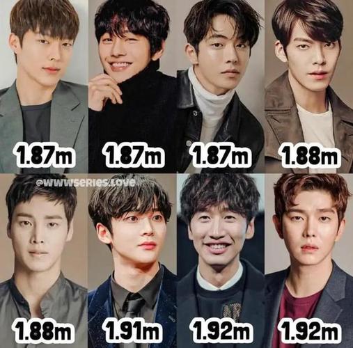 韩国男明星的身高