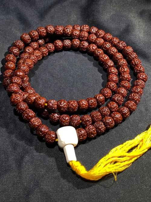 "老"金刚菩提到底什么样?满足这3点才"老"难得一见仍是现状