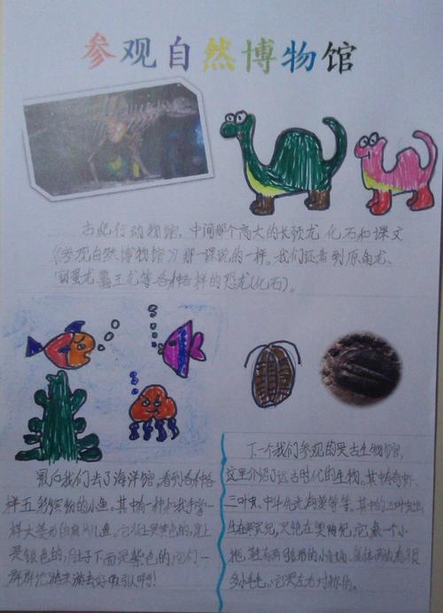 手抄报自然博物馆