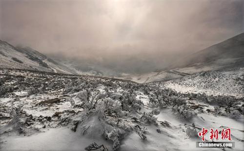 四川夹金山 雪落出美景