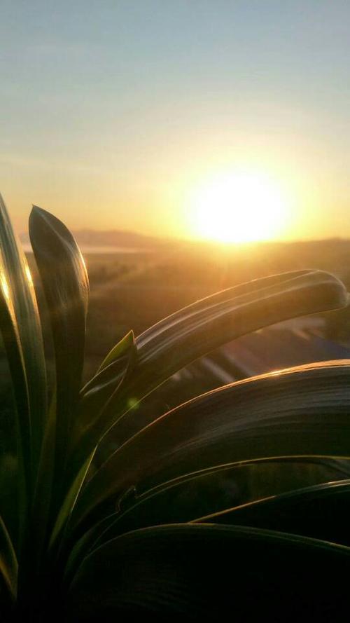 清晨的第一缕阳光