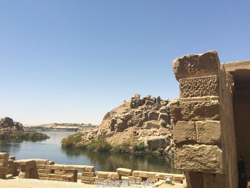 埃及十日游(二)