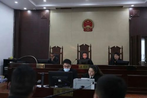 泗水,梁山法院公开宣判3起恶势力犯罪案