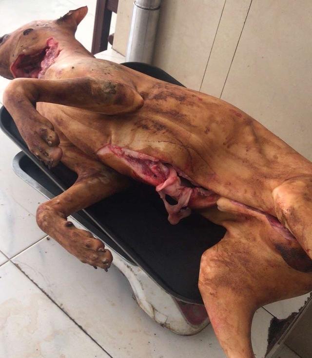 狗肉要全国禁食?有店铺一天卖出千斤狗肉,老板曾遭爱狗人士威胁