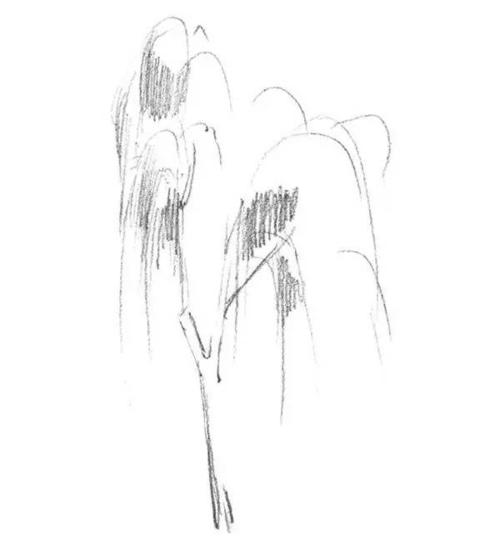 一,素描垂柳的绘画步骤素描垂柳的完成稿柳树,是比较常见的一种树.