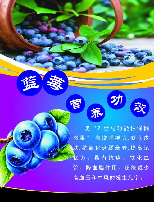 【cdr】蓝莓营养功效
