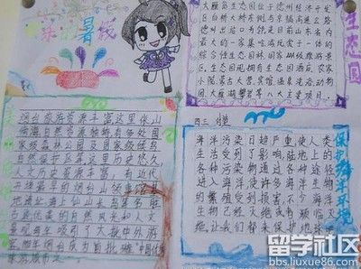 寒假见闻手抄报