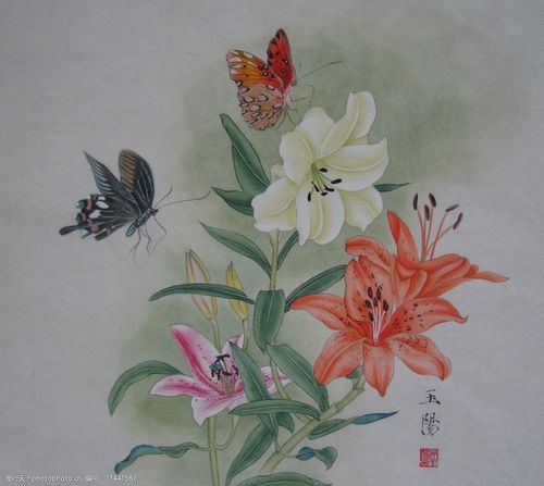 关键词:吴玉阳 百合花蝴蝶 工笔重彩画 工笔画 百合花 蝴蝶 百年好合