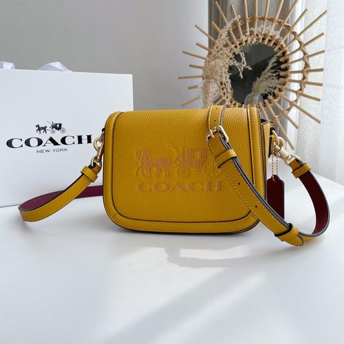 horse & carriage系列包包 蔻驰官网新款图片