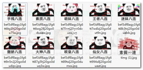 素质十八连什么梗表情包最新