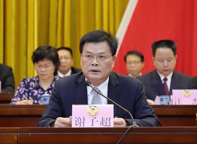 谢子超在会上代表区委作讲话.
