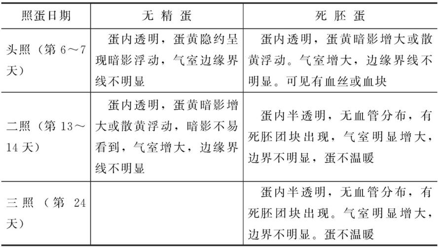 怎样鉴别无精蛋和死胚蛋?