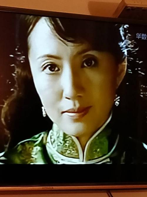 影视演员剧照(何晴,盖夕月等)