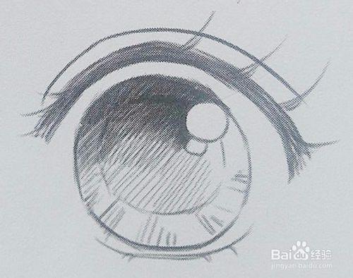 漫画素描古典女性眼睛正侧面