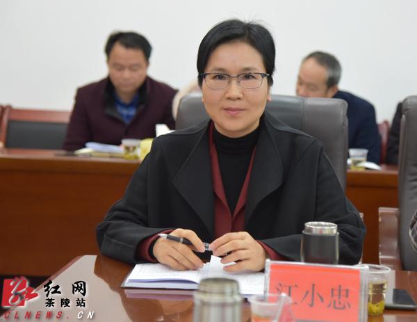 县委副书记,县长江小忠讲话