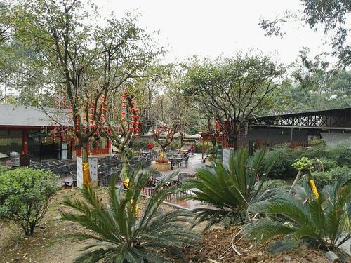 三圣花乡农家游----王家花园