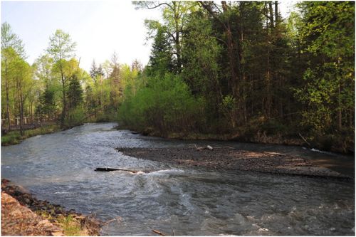 [转载]长白山之旅 六>鸭绿江大峡谷