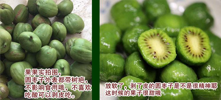 丹东软枣猕猴桃东北特产圆枣子软枣奇异莓新鲜孕妇