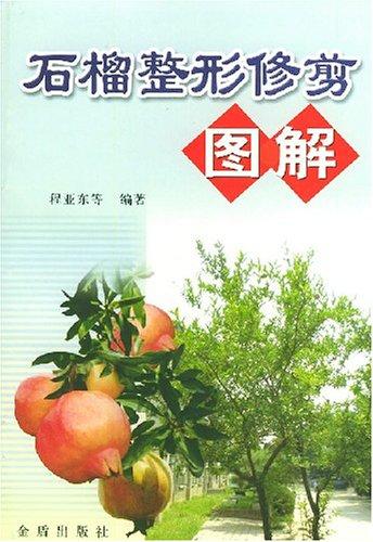 石榴整形修剪图解