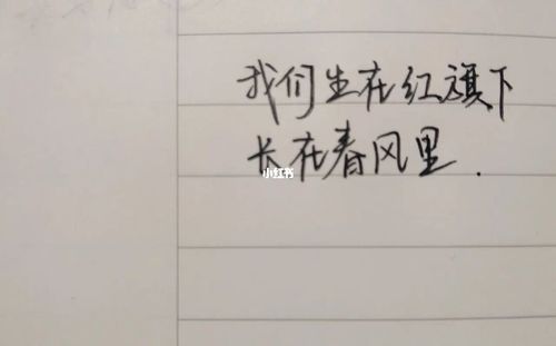 手写/我们虽共有过去,但却各有未来._手写_兴趣爱好