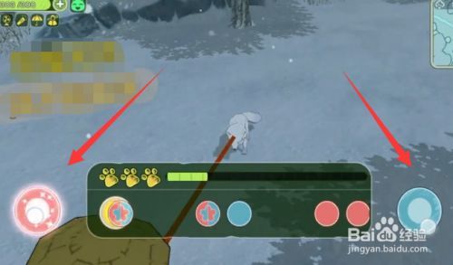 小森生活中怎么抓到水玉狐