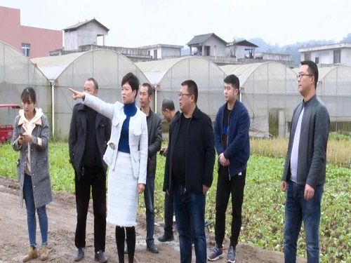 芦山县委副书记县长杨俊调研王家村农房重建工作