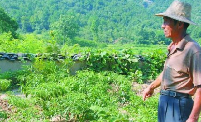 中国第一懒人杨锁:为取暖放火烧家具,23岁活活懒死在家中