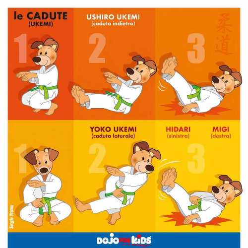 200元一个月八节试听课【柔道】