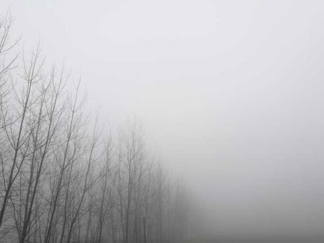 2017年你拍过哪些美好的照片