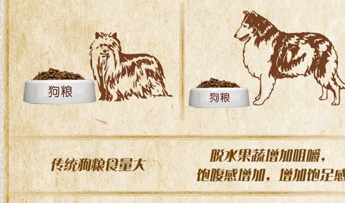 进口狗粮天然狗粮加拿大妙趣狗粮10kg三文鱼幼犬粮通用型幼犬包邮_7折