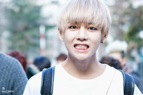 防弹少年团 bts 金泰亨 v 泰泰 懵泰 移动画报 (禁二传!