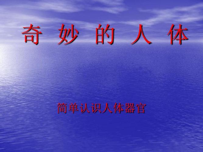 奇妙的人体ppt